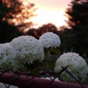 Meet your Posher, Tonya